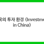 중국의 투자 환경 (Investment in China)