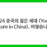 2024 중국의 젊은 세대 (Youth Culture in China), 어떻습니까?