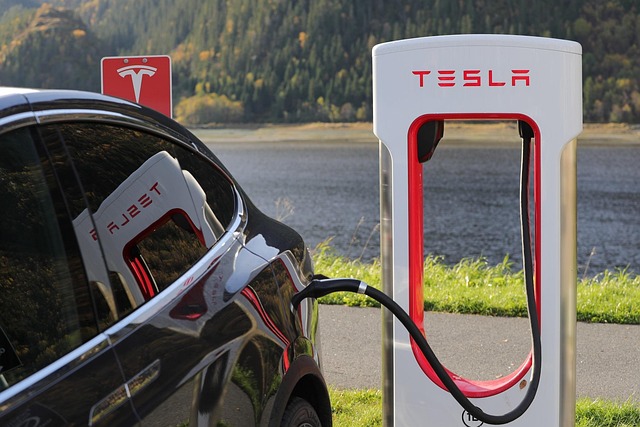 US electric vehicle market environment