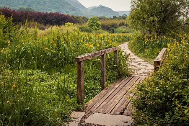 중국 미국 전략적 동반자